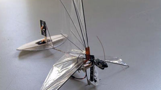 DelFly Micro Dragonfly Is Smallest Creepy Autonomous Spybot Yet